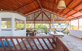 Terraza Dzahui H